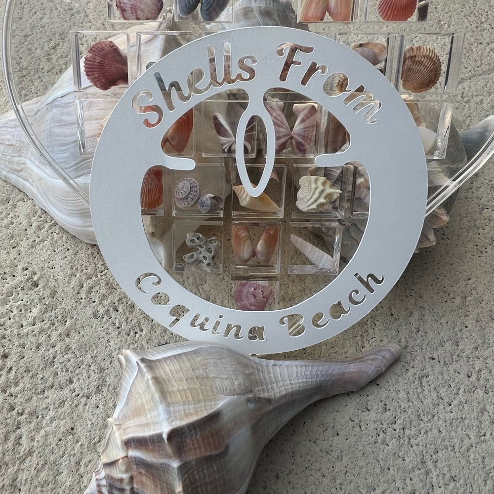 Heart-Shaped Seashell Display - Picture 6 of 8